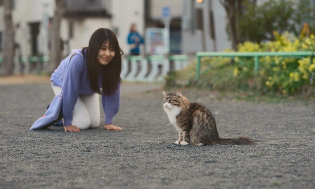 Call Me Chihiro
